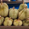 Nikmati Ragam Jajanan Buah Khas Daerah di Indonesia