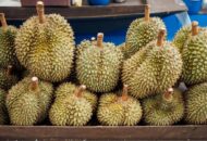Nikmati Ragam Jajanan Buah Khas Daerah di Indonesia
