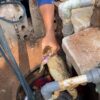 Damkar Evakuasi Dua Biawak dari Sumur Warga Gunung Sindur Bogor