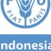 FAO Indonesia Buka Lowongan Kerja Empat Posisi Kontrak