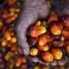 Pemerintah Siapkan Bursa Mineral dan Komoditas Strategis Icomex