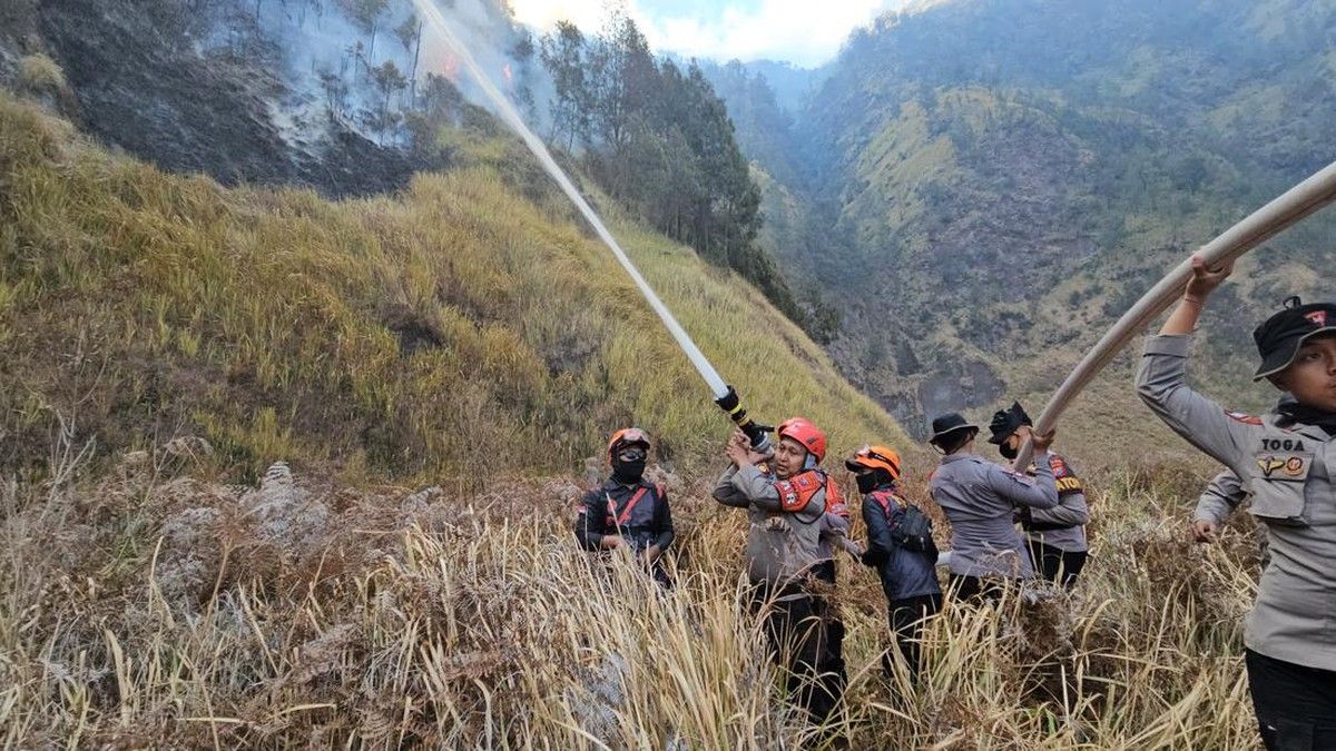 Kebakaran JLKT Bromo Paksa Penutupan Objek Wisata Seruni Point