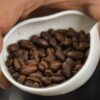 5 Kopi Single Origin Indonesia Terbaik dengan Cita Rasa Autentik