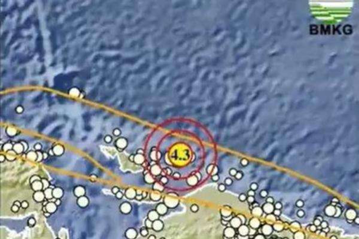 Serangkaian Gempa Tektonik Mengguncang Sejumlah Wilayah di Papua