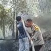 BPBD Palangka Raya Tangani 298 Karhutla Selama Musim Kemarau
