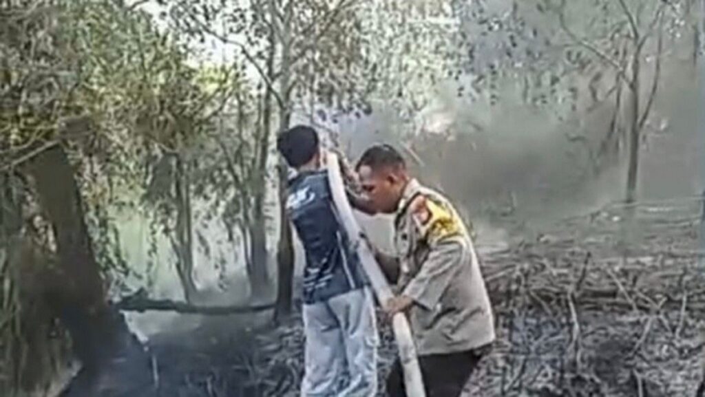 BPBD Palangka Raya Tangani 298 Karhutla Selama Musim Kemarau