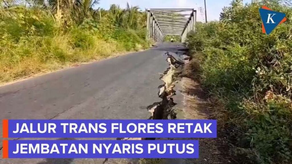Dua Rumah Sakit Lapangan Beroperasi Tangani Korban Gempa NTT