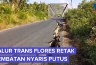 Dua Rumah Sakit Lapangan Beroperasi Tangani Korban Gempa NTT