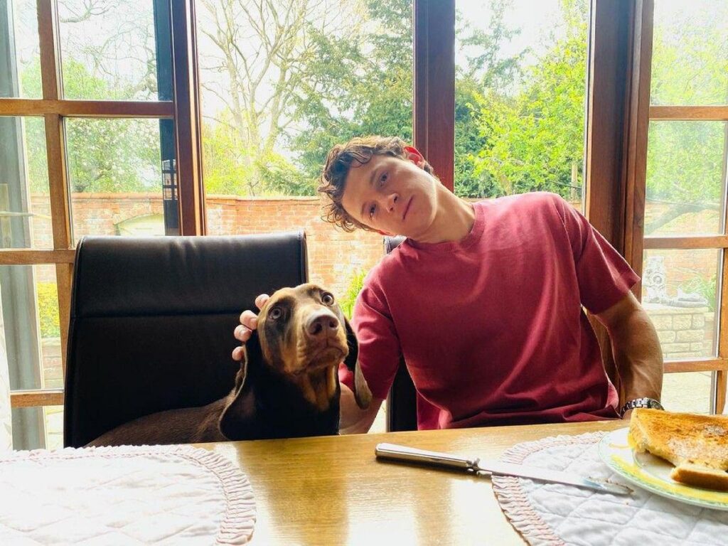 Tom Holland Ungkap Pola Makan Sederhana untuk Jaga Kebugaran