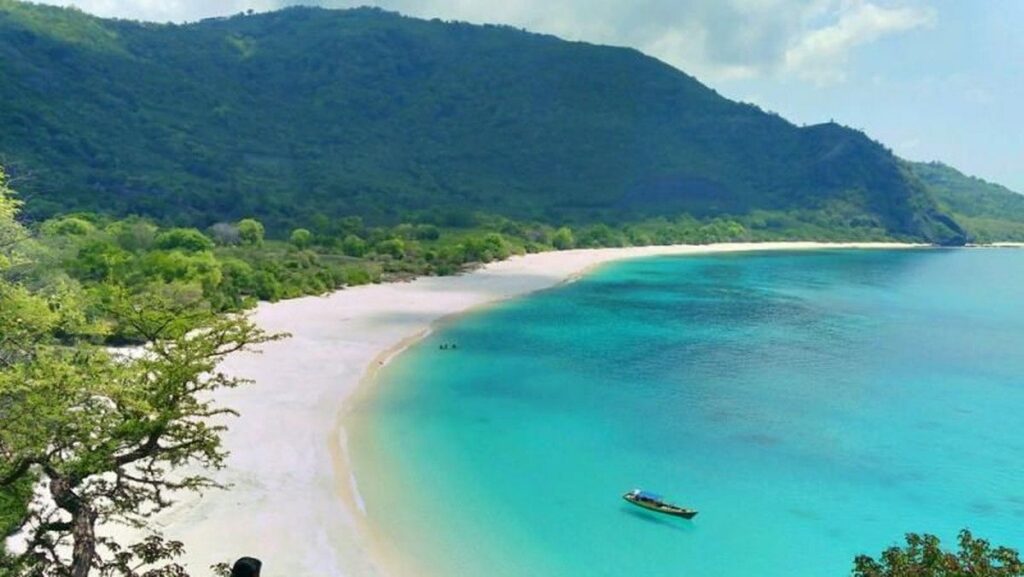 BRILink Agen Dorong Inklusi Keuangan Perajin dan Petani di Alor
