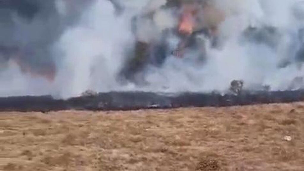 Kebakaran Hanguskan Satu Hektar Lahan Gunung Gede Pangrango