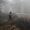BPBD Kalimantan Tengah Kerahkan Ribuan Personel Tangani Karhutla 148 Hektare