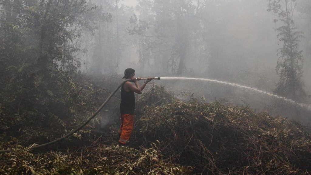 BPBD Kalimantan Tengah Kerahkan Ribuan Personel Tangani Karhutla 148 Hektare