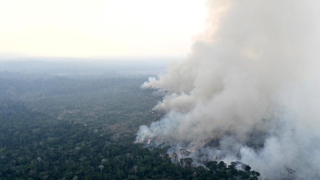 BNPB Kerahkan Satgas Padamkan Karhutla Kalimantan