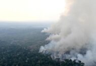 Airlangga Dorong 20 Persen Emas