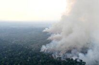 Airlangga Dorong 20 Persen Emas