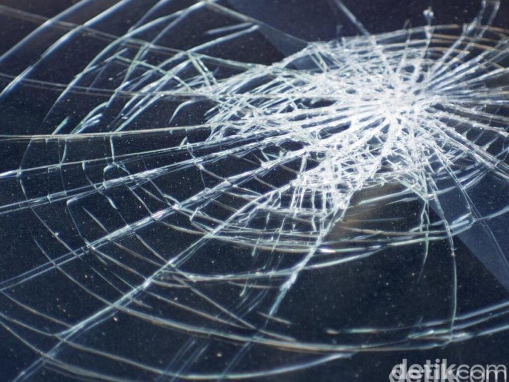 Pohon Tumbang di Pidie Menimpa Pikap Tujuh Orang Meninggal Dunia