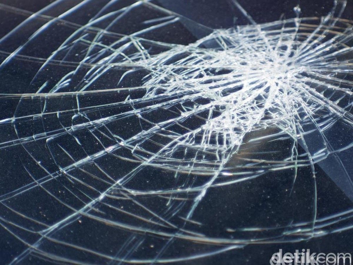 Pohon Tumbang di Pidie Menimpa Pikap Tujuh Orang Meninggal Dunia