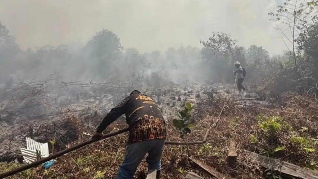Kebutuhan Pusat Data dan SDM AI di Indonesia