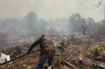 Kebutuhan Pusat Data dan SDM AI di Indonesia