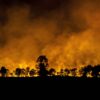 Kabut Asap Karhutla Kalimantan dan Sumatra Meluas hingga Malaysia