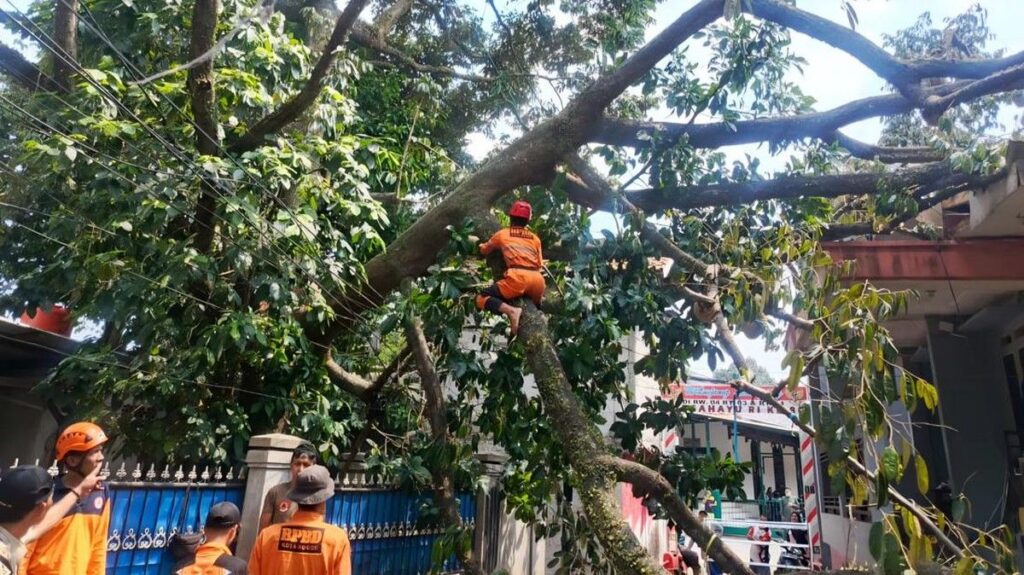 Pohon Durian Lapuk Tumbang Timpa Rumah Warga di Bogor Utara