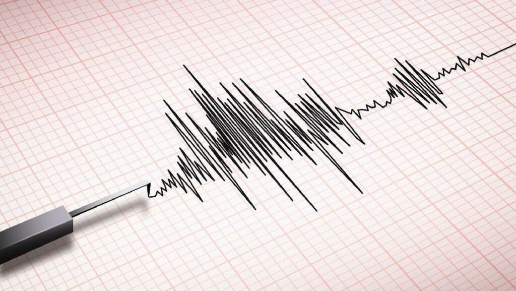 Gempa Magnitudo 7,7 Guncang NTT 47 Orang Meninggal Dunia