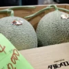 Melon Yubari King Terjual Rp660 Juta di Lelang Perdana Musim Panen Jepang