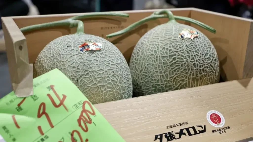 Melon Yubari King Terjual Rp660 Juta di Lelang Perdana Musim Panen Jepang