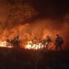 Kebakaran Hutan Kalimantan Sulit Dipadamkan Akibat Lahan Gambut