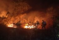 Kebakaran Hutan Kalimantan Sulit Dipadamkan Akibat Lahan Gambut