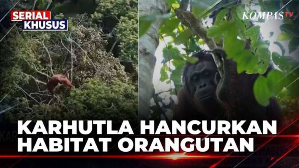 Menteri Lingkungan Hidup Tinjau Langsung Karhutla di Kampar Riau