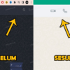 WhatsApp Web Sediakan Fitur Panggilan Suara dan Video