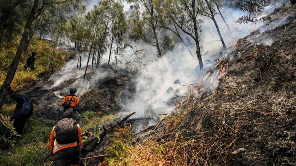 BB TNBTS Tutup Total Akses Wisata Gunung Bromo Akibat Kebakaran