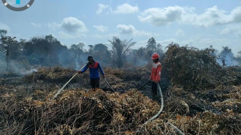 BNPB Catat Luas Kebakaran Hutan Capai Lebih dari 72 Ribu Hektare