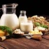 Mengungkap Jenis Susu dengan Kandungan Protein Tertinggi