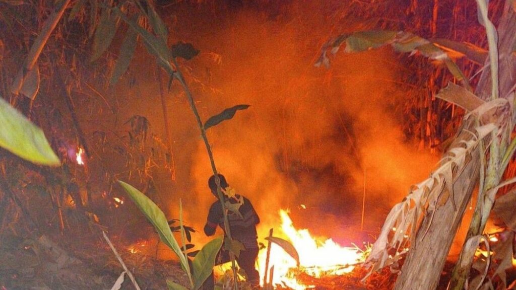 Kebakaran Lahan 6 Hektare Terjadi di Kampung Cipenyu Pandeglang