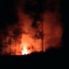Kebakaran Hutan Melanda Lereng Gunung Ijen Bondowoso