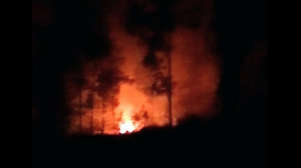 Kebakaran Hutan Melanda Lereng Gunung Ijen Bondowoso