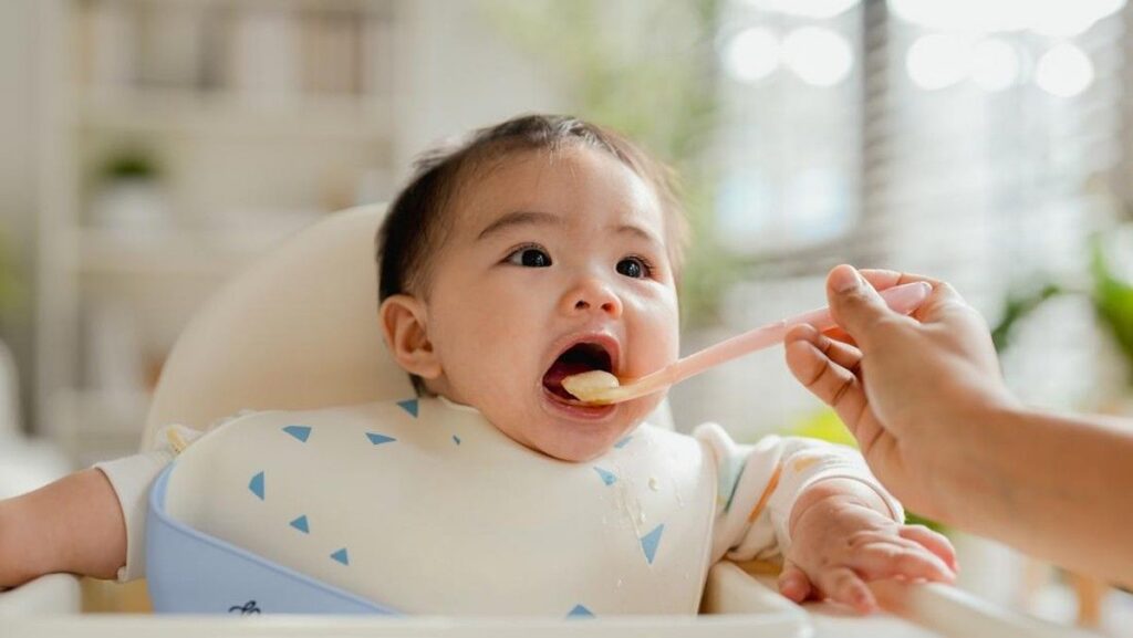 7 Resep MPASI Bayi 8 Bulan Tinggi Kalori