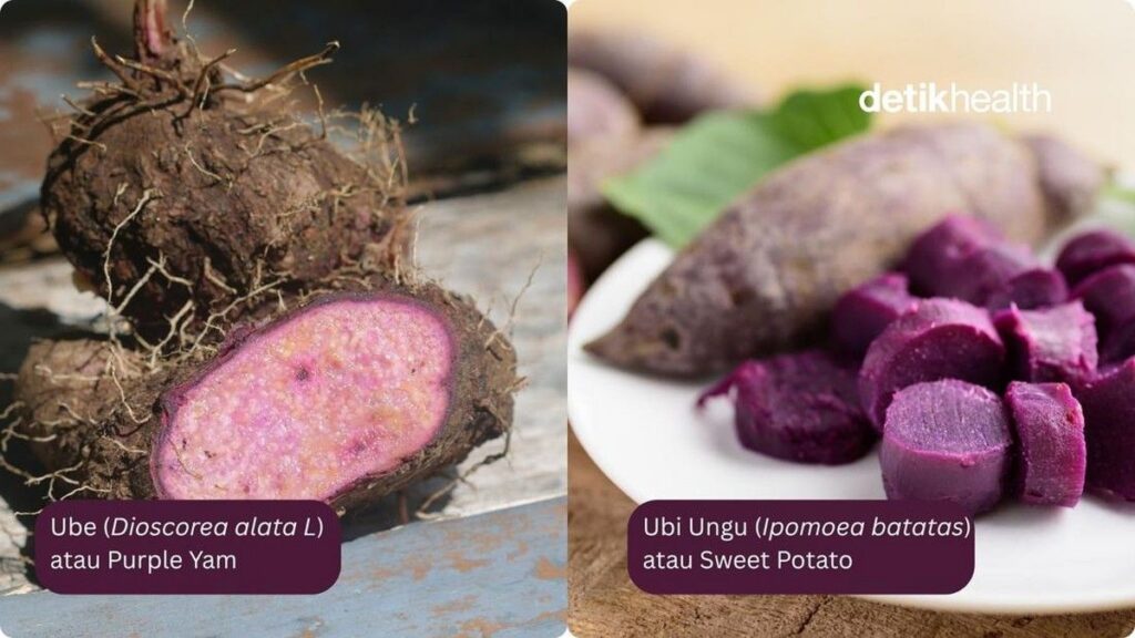 Memahami Perbedaan Ube dan Ubi Ungu Berdasarkan Spesies Hingga Nutrisi