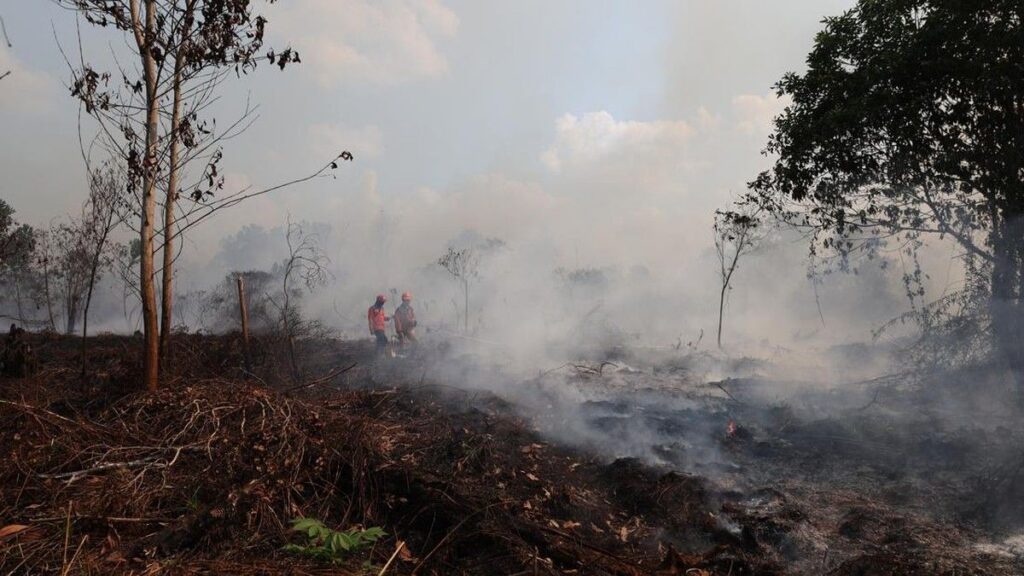 Turis Kanada Galang Bantuan Internasional untuk Desa Adat Sade