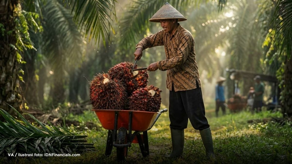 Kenaikan Biaya dan Kelangkaan Solar Ganggu Produksi Sawit di Kalimantan dan Sumatra