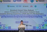 Pemerintah Tingkatkan Ekosistem Gula Nasional Lewat Koperasi Petani Tebu