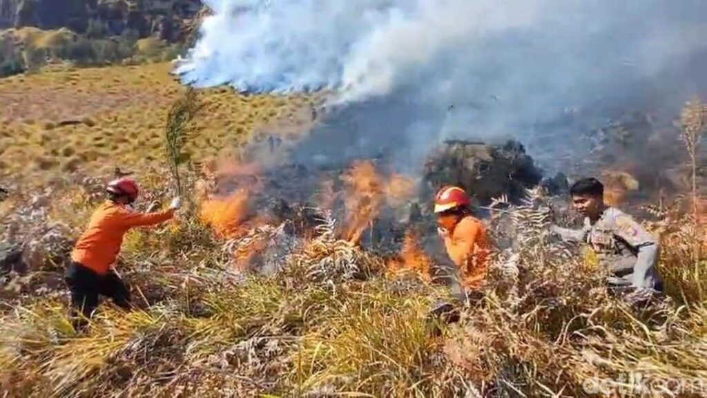 BNPB Siapkan Water Bombing Padamkan Kebakaran Bromo