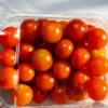 Peneliti Kyushu buat kemasan biodegradable dari limbah kulit labu