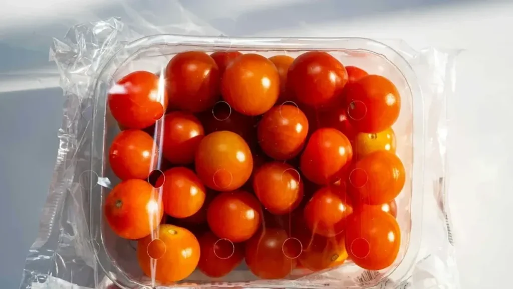 Peneliti Kyushu buat kemasan biodegradable dari limbah kulit labu