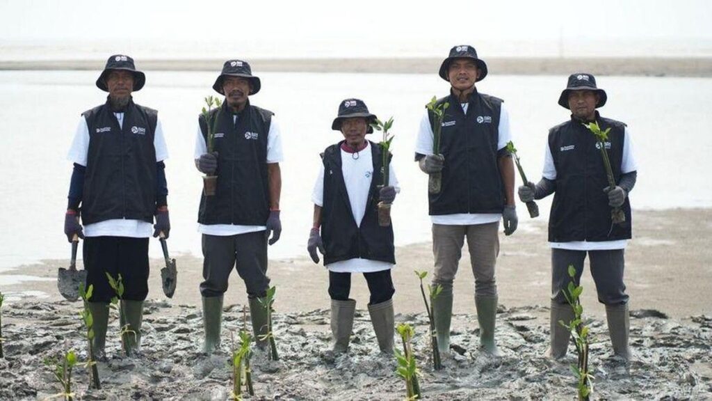 BRI Peduli Tanam 24.000 Mangrove di Pesisir Pakisjaya Karawang
