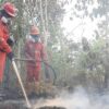 Pemerintah Optimalkan Modifikasi Cuaca Operasi Karhutla Kalimantan