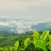 BMKG Prakirakan Cuaca Bandung Cerah Berawan pada Senin 3 Agustus 2026